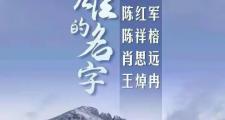 开云APP-上海队奋力突围，豪夺胜利宝座的简单介绍