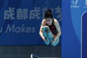 开云体育入口-跳水盛宴：中国选手包揽跳水项目