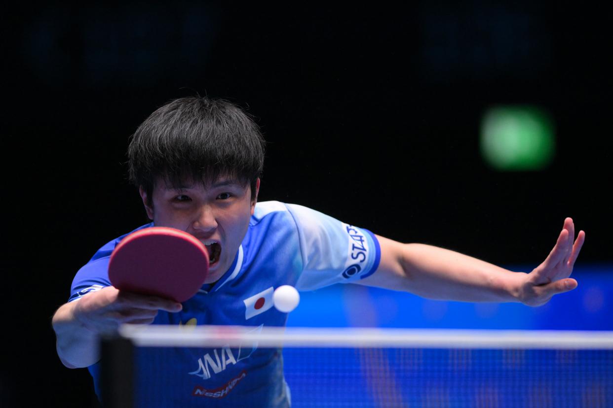 日本乒乓球队绝杀奥地利乒乓球队，波尔关键制胜的简单介绍