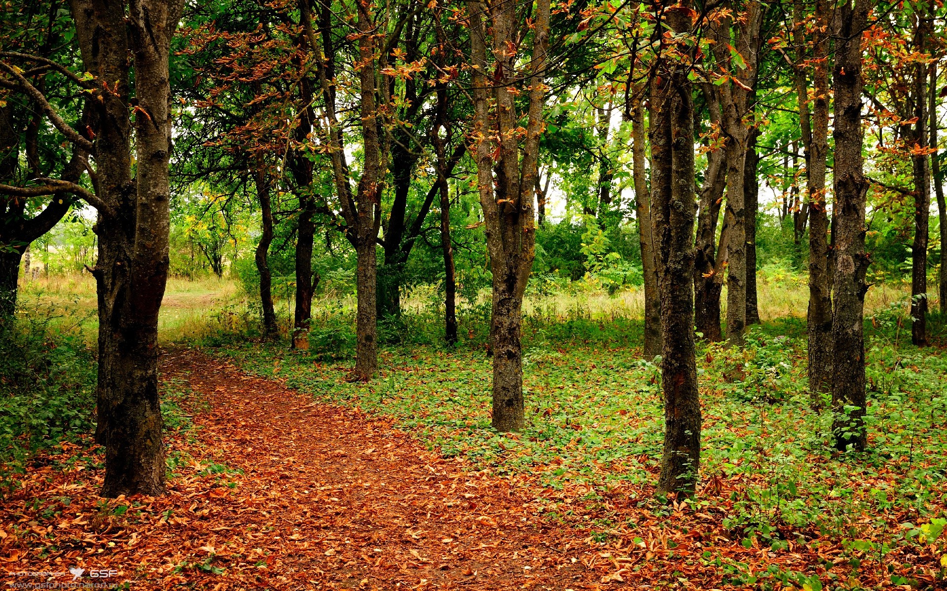 王朝黄昏与巨人黎明，篮球哲学的世代交替
