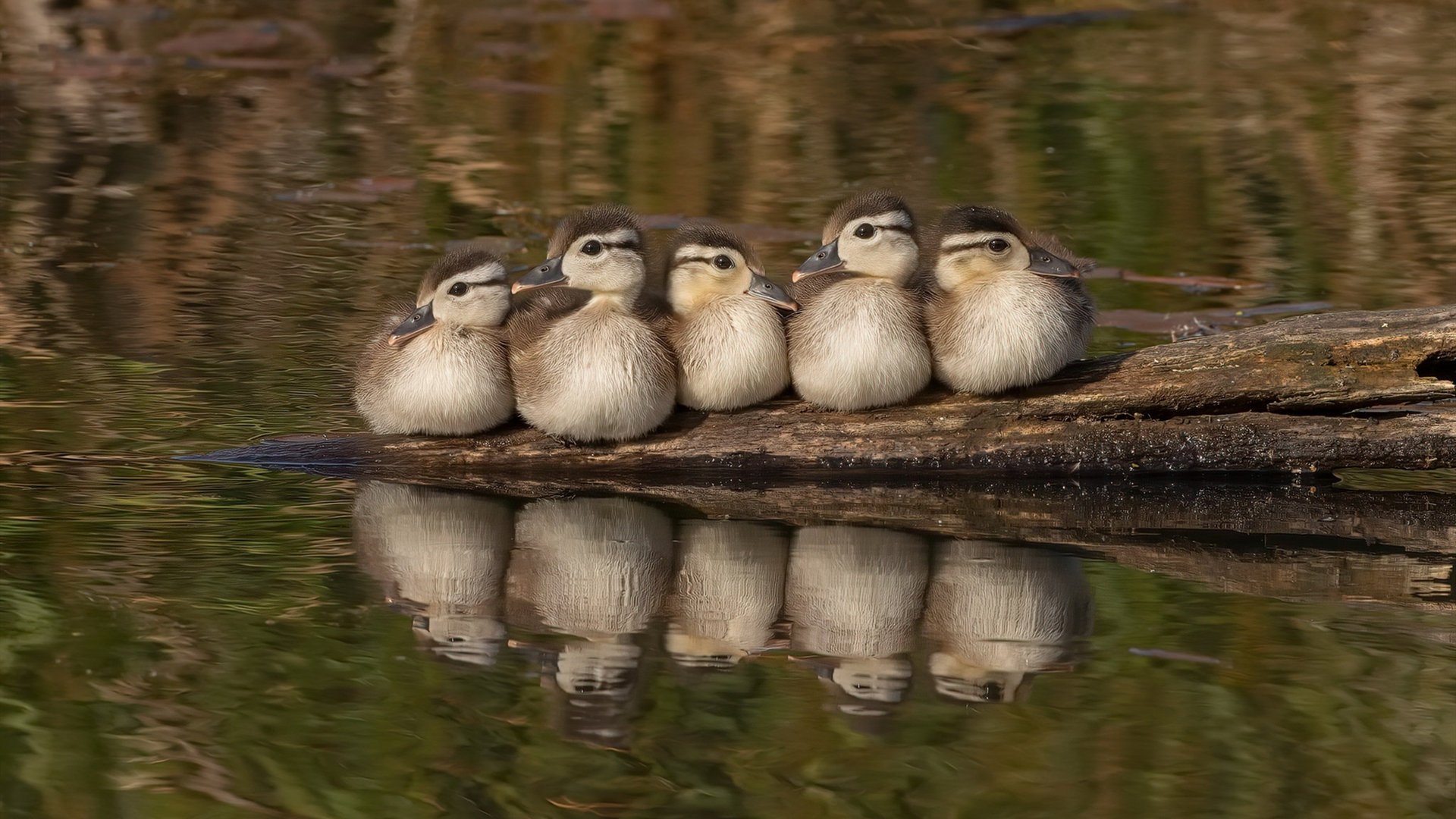 穆勒的绝唱与红黑的交响，当压制级发挥遇上卡塔尔制霸权