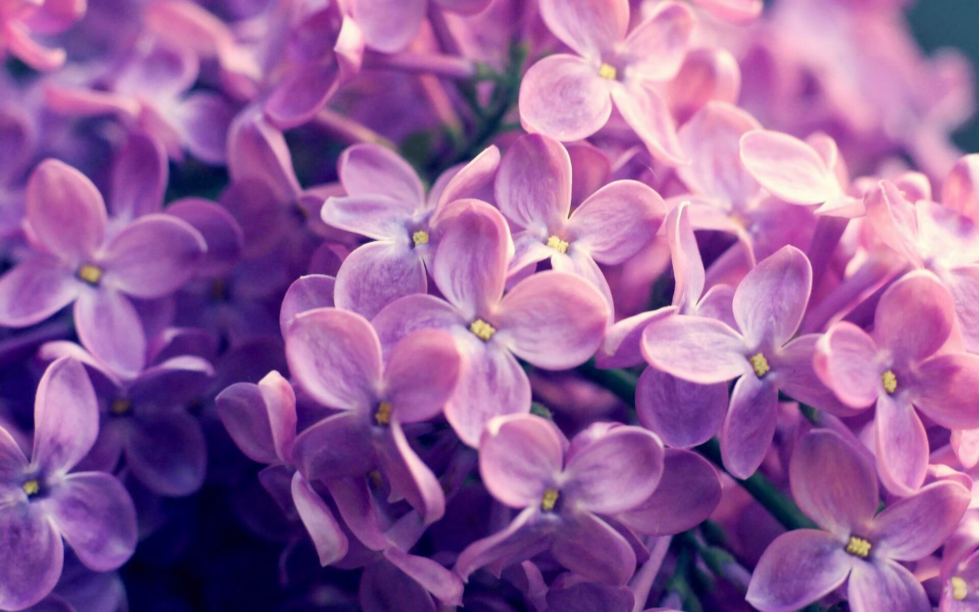 单节狂潮定胜局！法比尼奥奥运关键战独揽乾坤