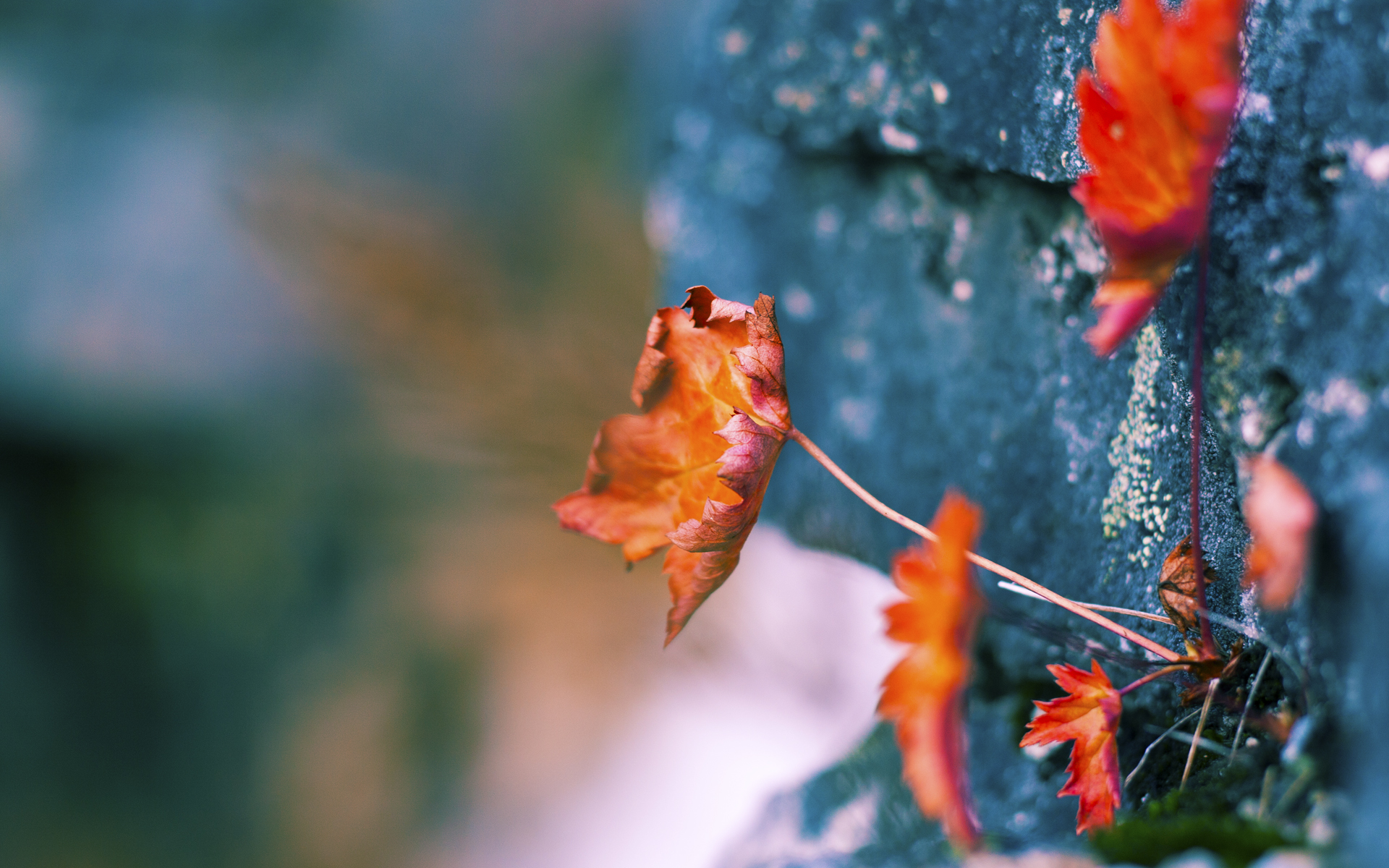 哈登凝视，一场属于局外人的欧冠决赛之夜