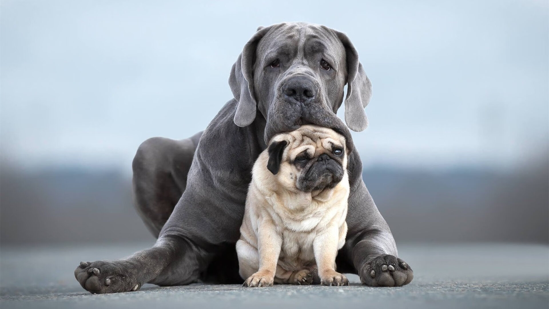 北欧节拍驯服探戈，红魔门神筑叹息之墙