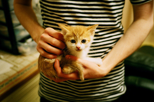 铁血防守定乾坤!辽宁猎鹕成功,小贾伦生死时刻显锋芒