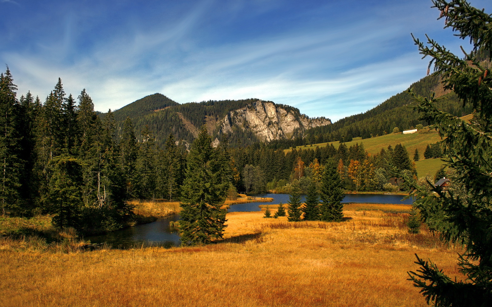 从CBA险胜到世界杯主宰，辽宁队之战与小贾伦的2026预言