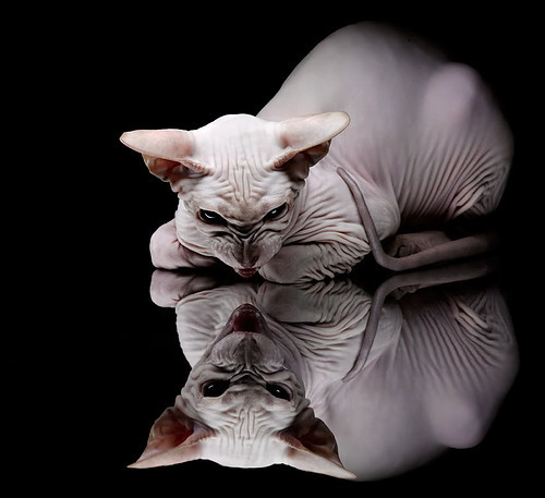 战术支点与战锤，卢卡库的攻防转换艺术与尤文铁血链条锁死曼城